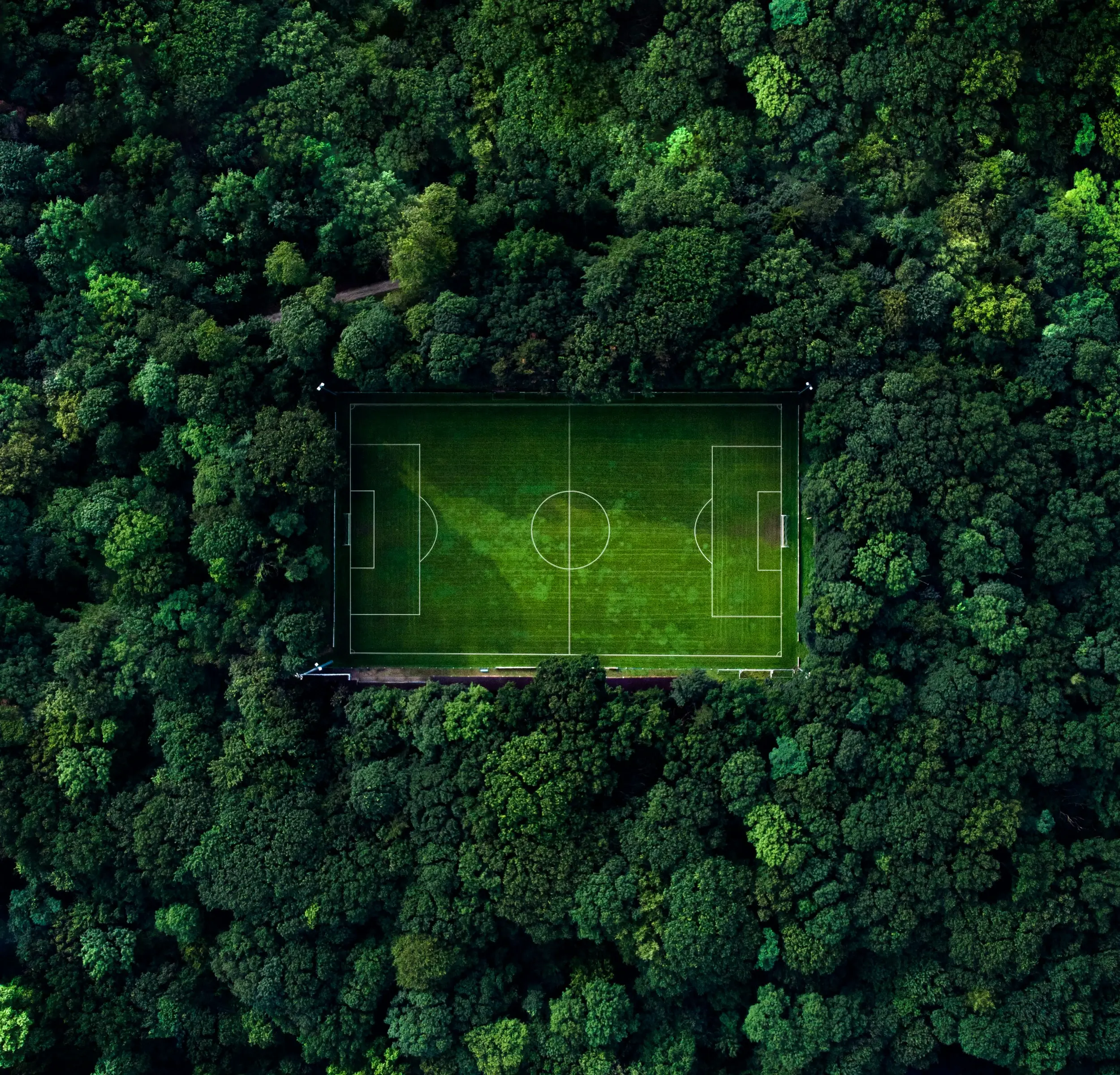 ese <span>management</span>