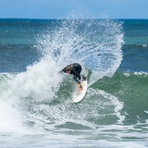 4. India Robinson thumbnail